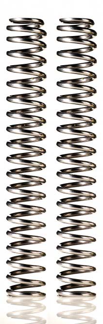 DL650A V-Strom | Fork Springs | Wilbers Suspension